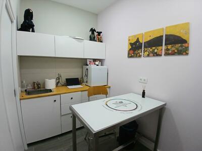 B Pet Galleria - O Nosso Espaço