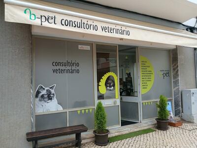 B-PET-consultorio-veterinario-7.jpeg