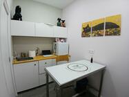 B Pet Galleria - O Nosso Espaço