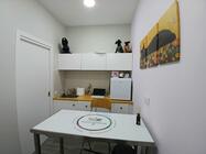 B Pet Galleria - O Nosso Espaço